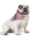 Doggie Bandana With Custom Printing